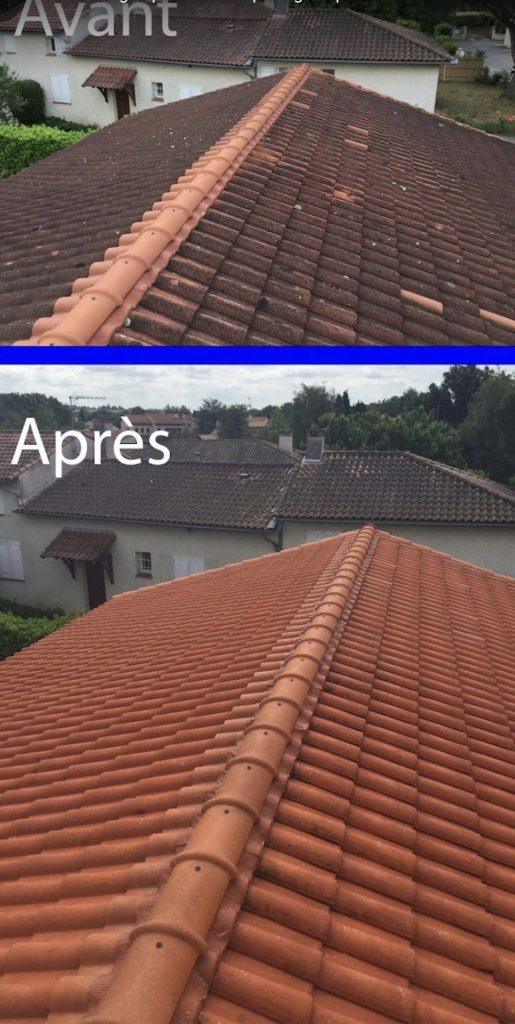 Démoussage toiture tuiles vertes maison à Limoges - David Deslauriers couvreur